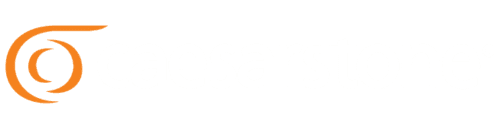 Caesarstone logo orange